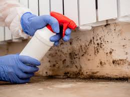 Mold Remediation for Rental Properties in Dobson, NC